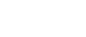 NN_Logo2WS2-1-300×130